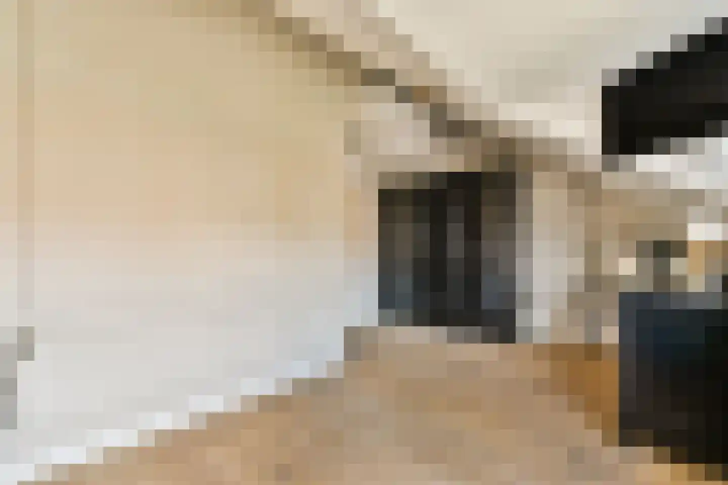 Boschplaat 40 Diemen thumbnail 21