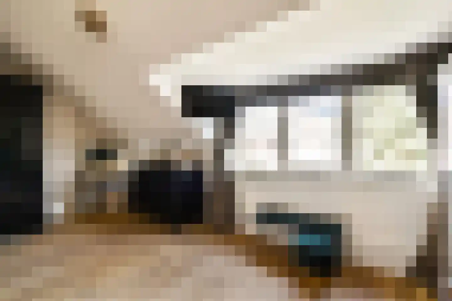 Boschplaat 40 Diemen thumbnail 22