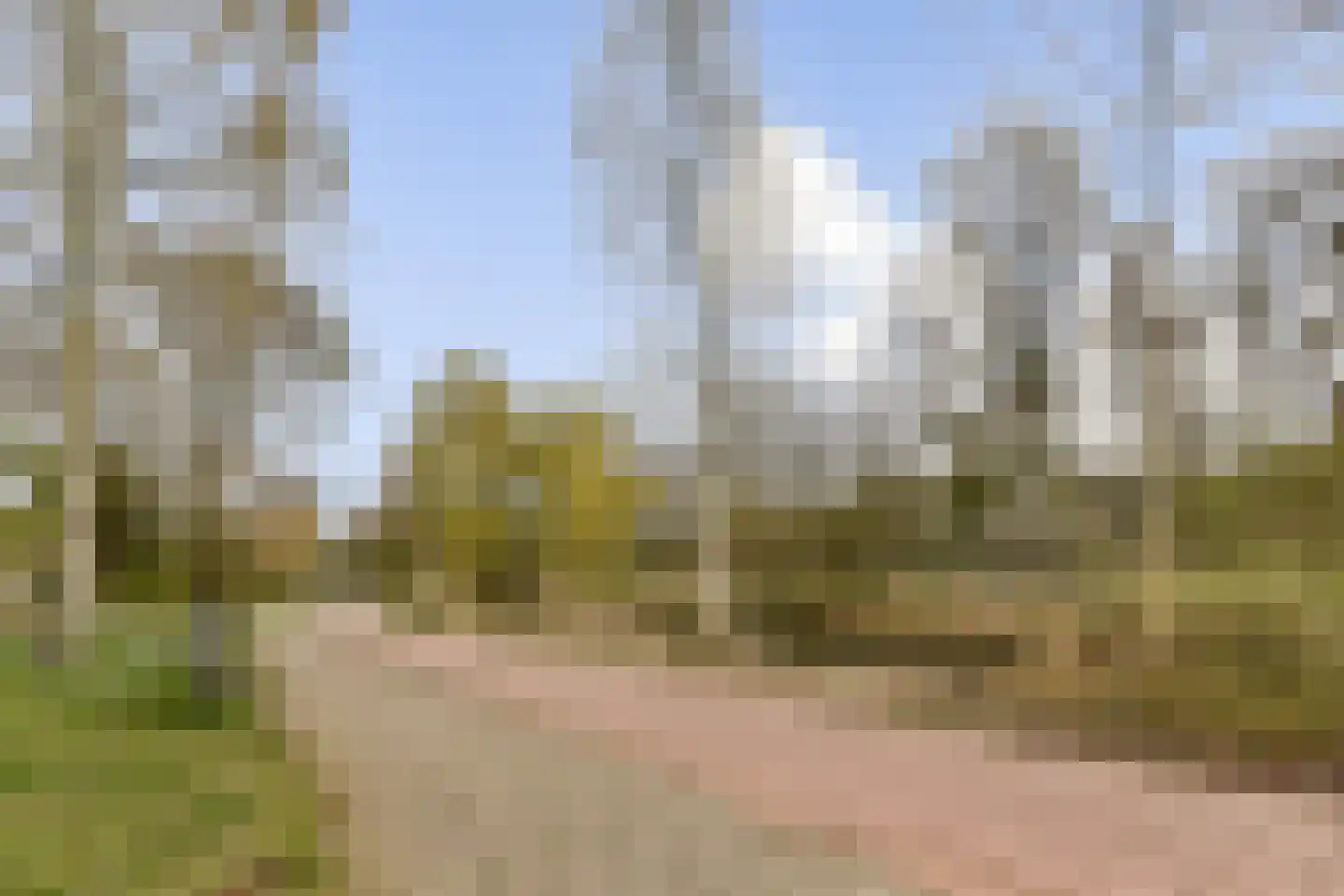 Boschplaat 40 Diemen thumbnail 26