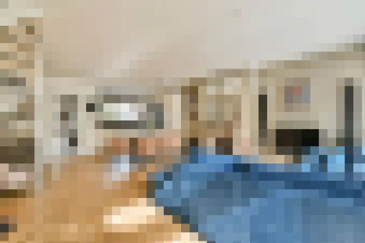 Boschplaat 40 Diemen thumbnail 4