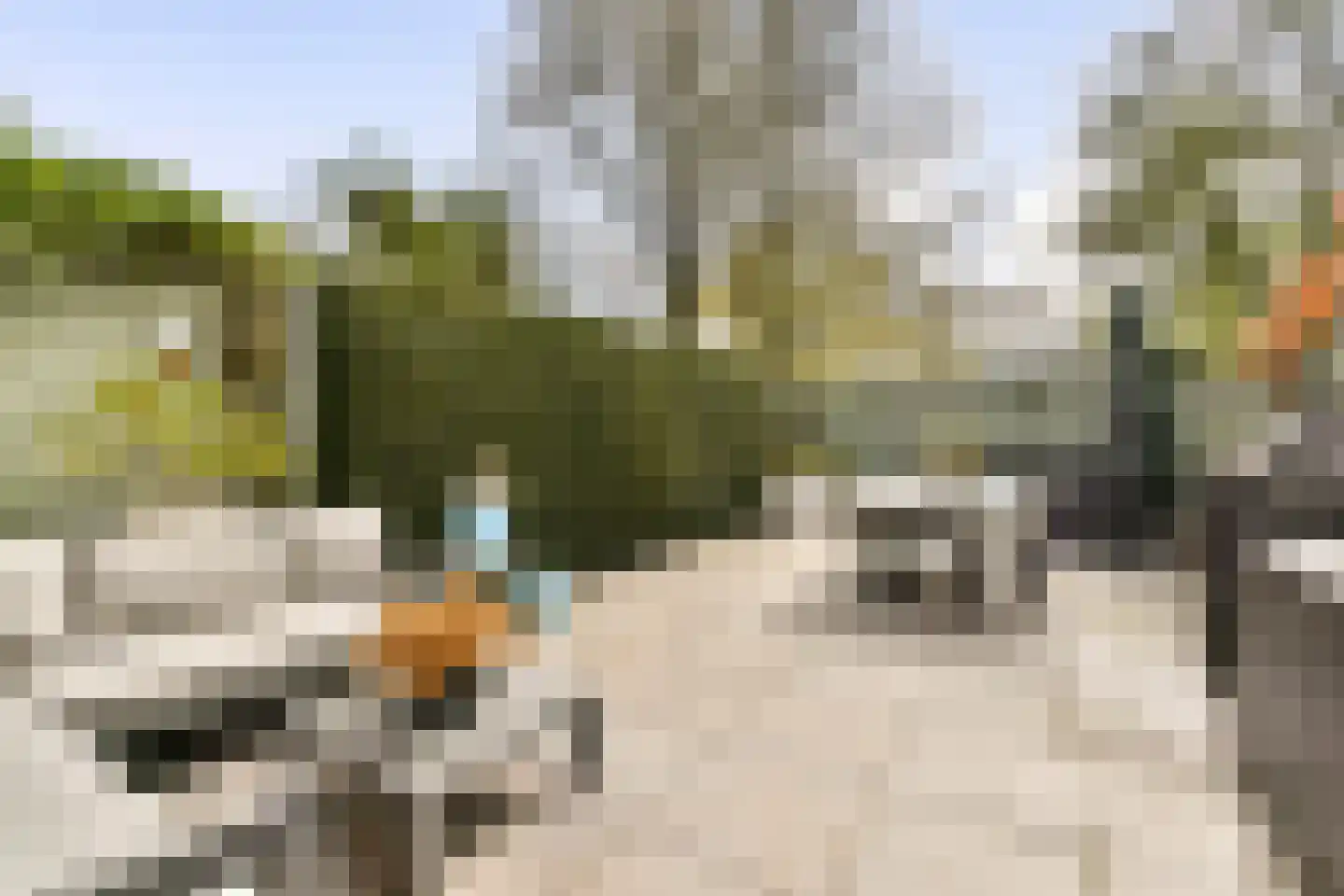 Boschplaat 40 Diemen thumbnail 8