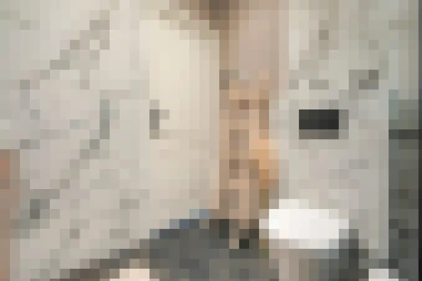 Boschplaat 41 Diemen thumbnail 26