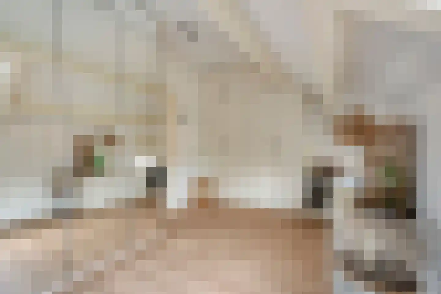 Boschplaat 41 Diemen thumbnail 30