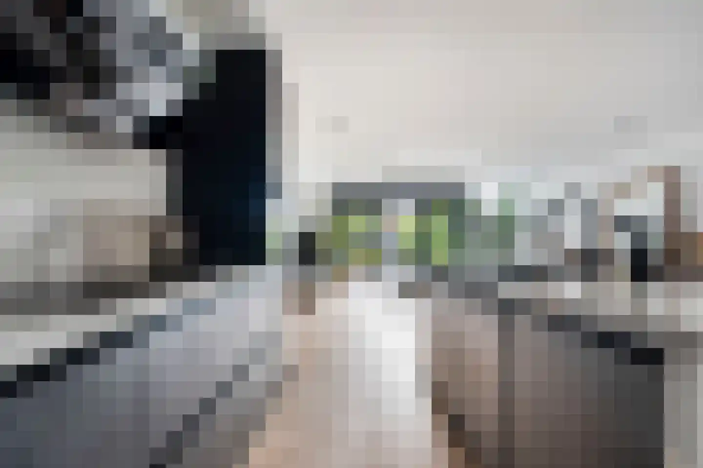 Boschplaat 41 Diemen thumbnail 4