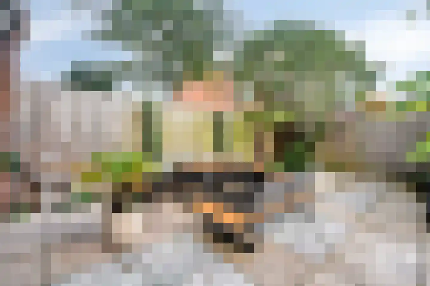 Boschplaat 41 Diemen thumbnail 40
