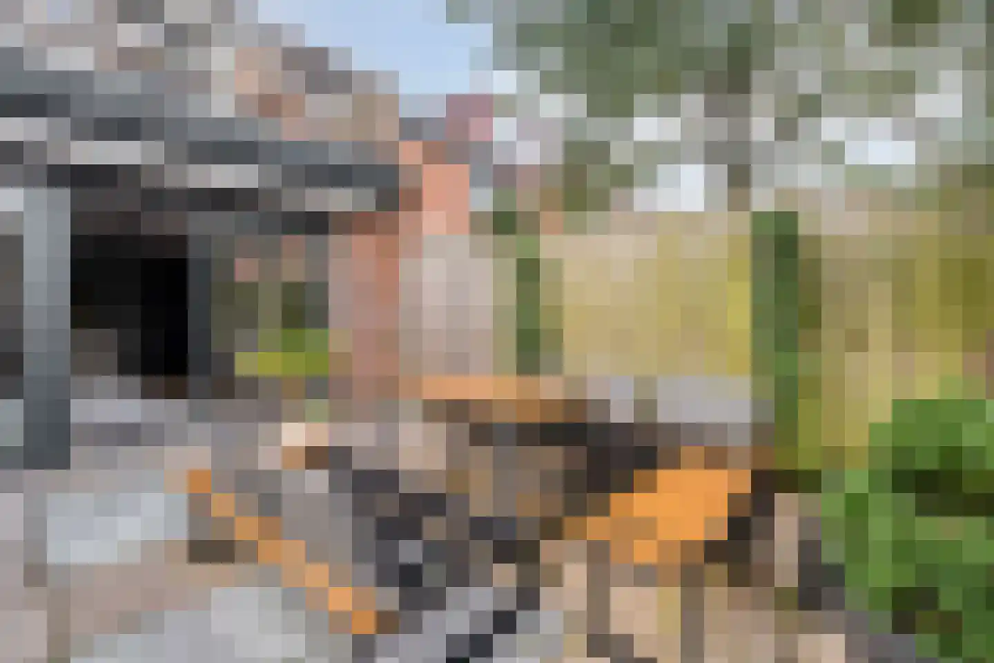 Boschplaat 41 Diemen thumbnail 41