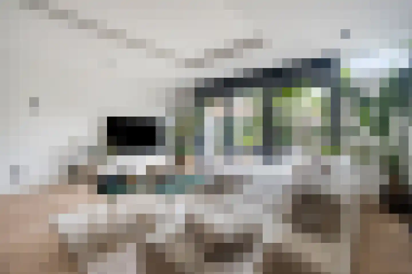 Boschplaat 41 Diemen thumbnail 6