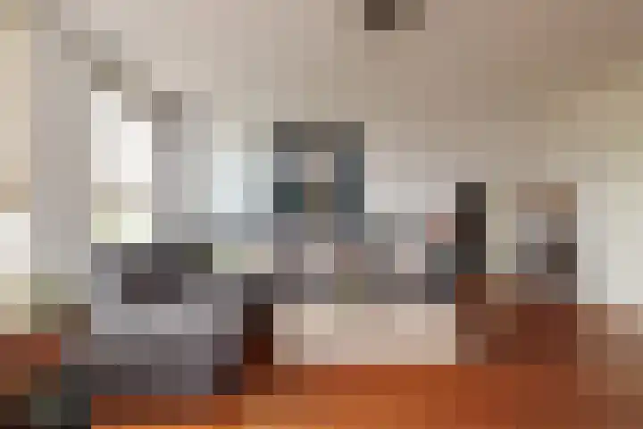 Boschplaat 48 Hoofddorp thumbnail 13