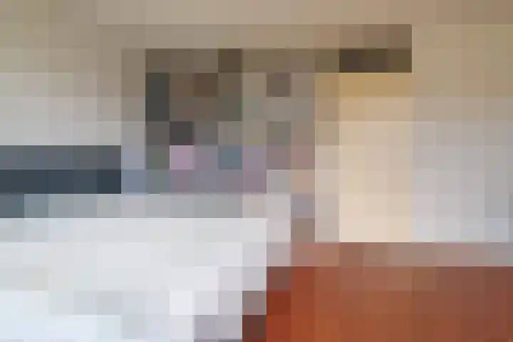 Boschplaat 48 Hoofddorp thumbnail 18