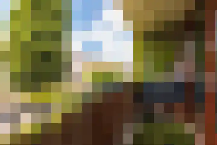 Boschplaat 48 Hoofddorp thumbnail 20