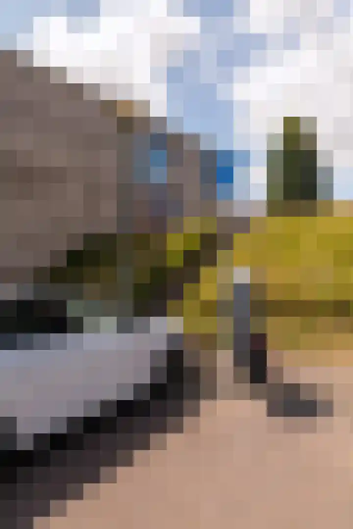 Boschplaat 48 Hoofddorp thumbnail 21