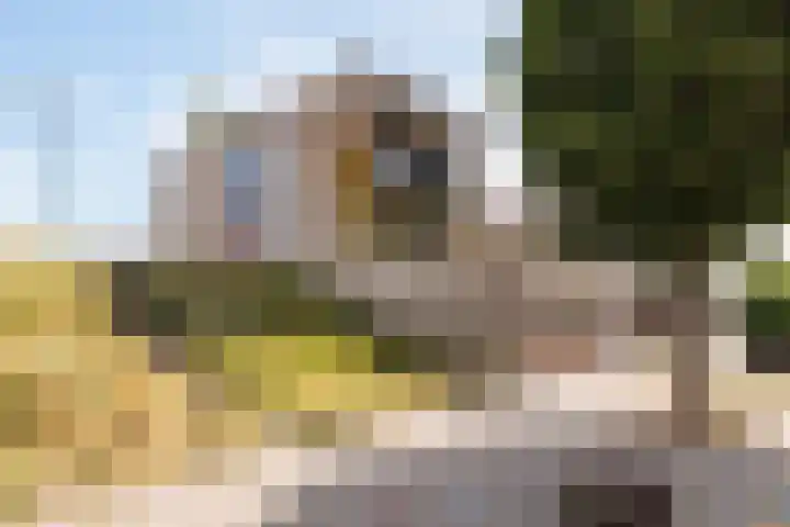 Boschplaat 48 Hoofddorp thumbnail 6