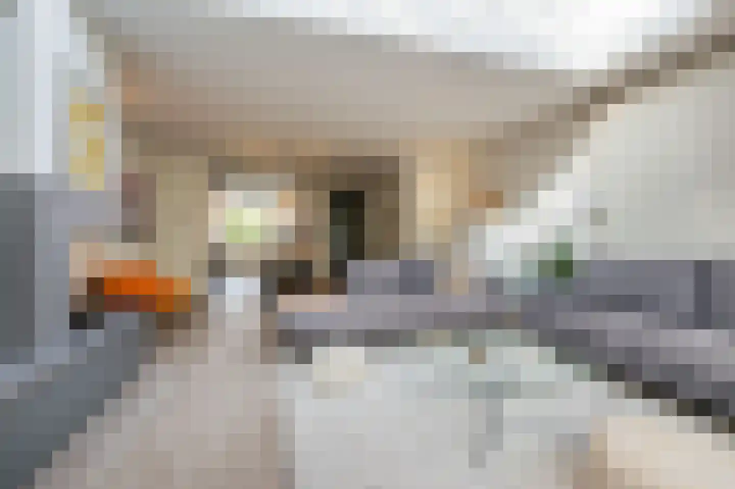 Boschplaat 54 Diemen thumbnail 11