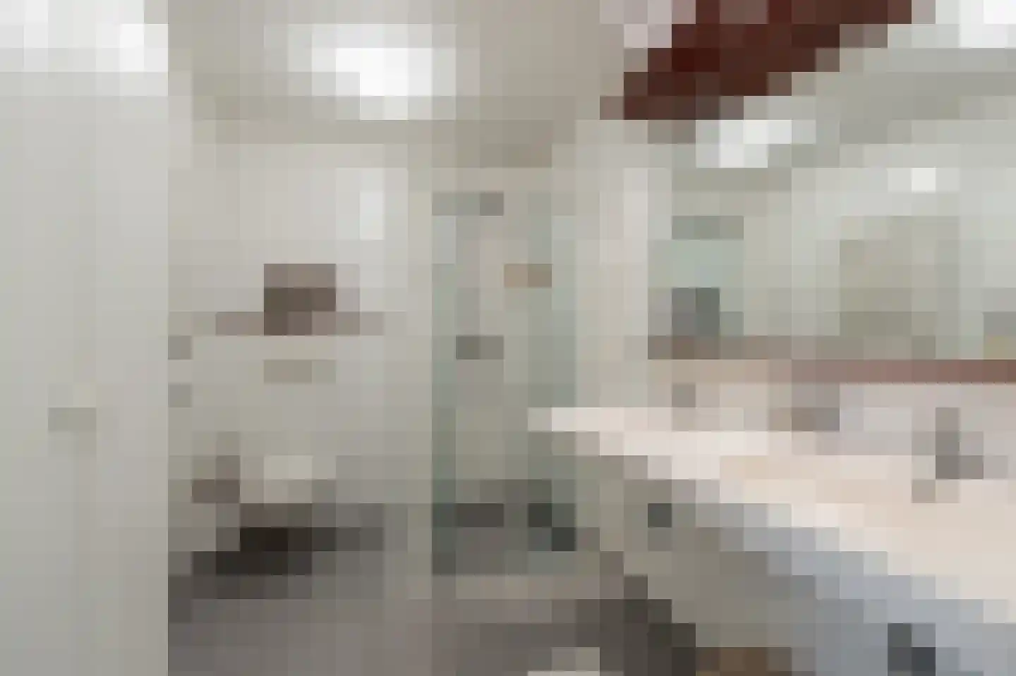 Boschplaat 54 Diemen thumbnail 31