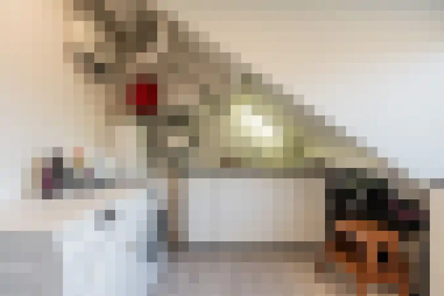 Boschplaat 54 Diemen thumbnail 36
