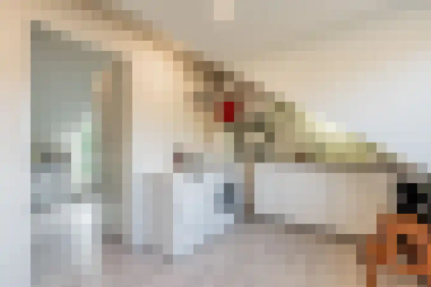 Boschplaat 54 Diemen thumbnail 37