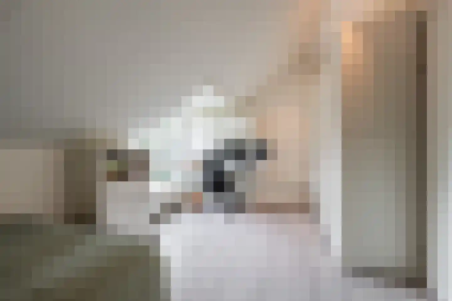 Boschplaat 54 Diemen thumbnail 38