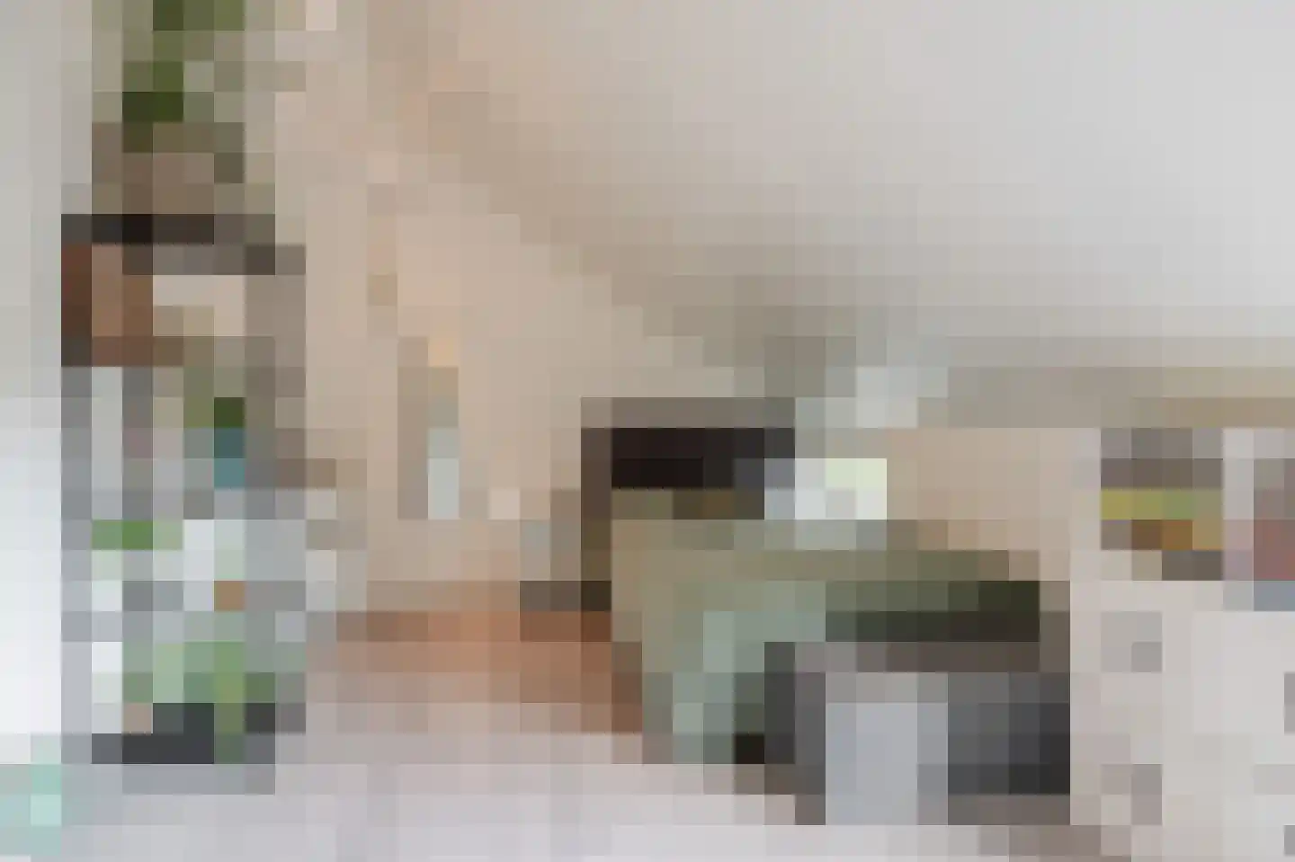 Boschplaat 54 Diemen thumbnail 39