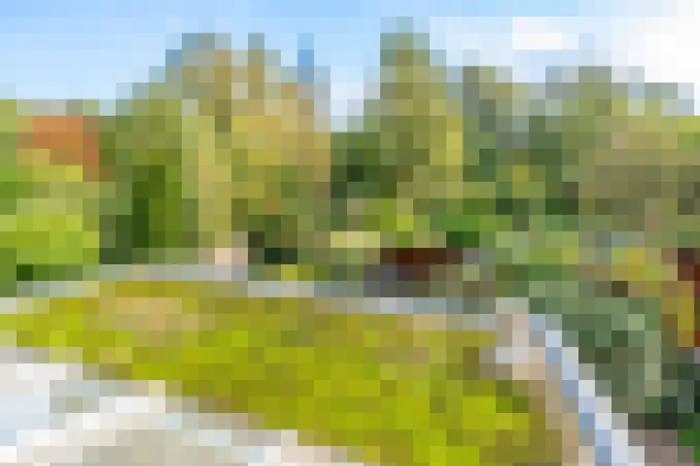Boschplaat 54 Diemen thumbnail 52