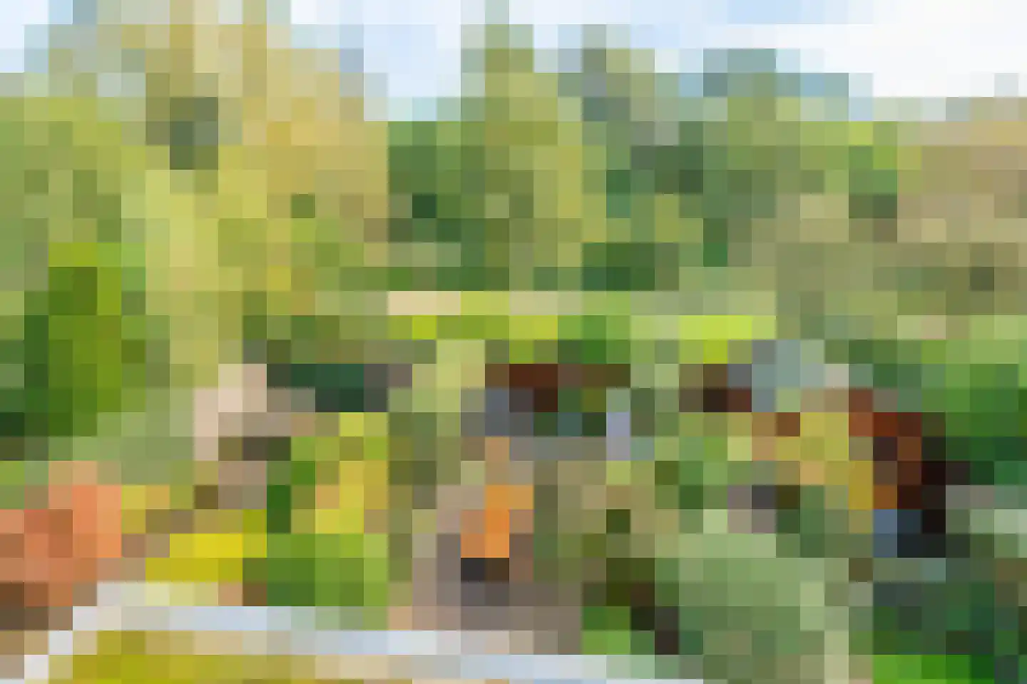 Boschplaat 54 Diemen thumbnail 53