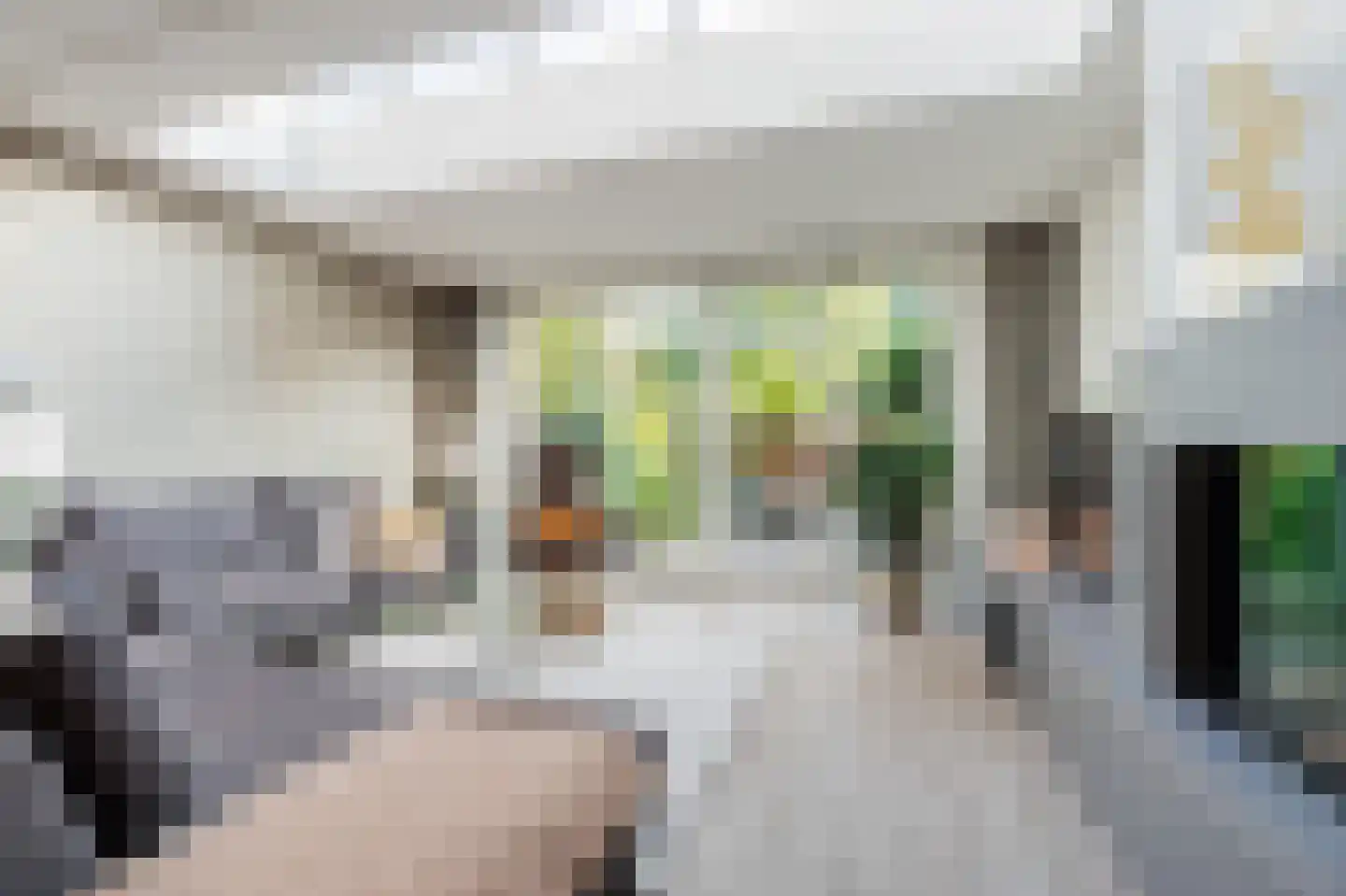 Boschplaat 54 Diemen thumbnail 8