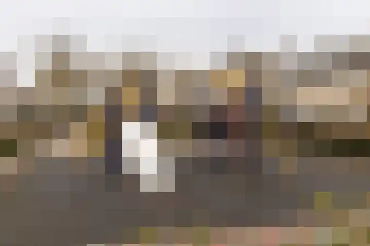 Boschplaat 64 Amstelveen thumbnail 34