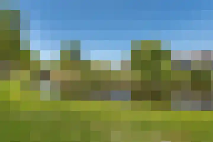Boschplaat 64 Amstelveen thumbnail 35