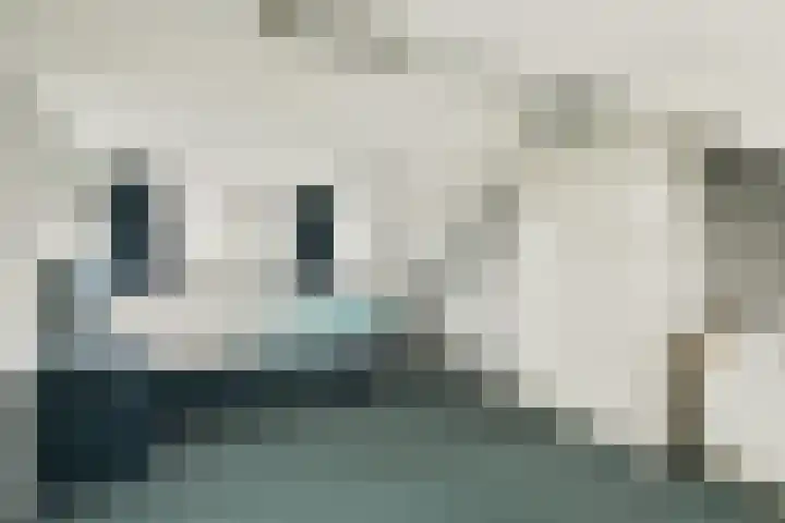 Boschplaat 74 Diemen thumbnail 22