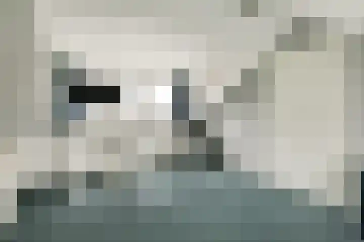 Boschplaat 74 Diemen thumbnail 23