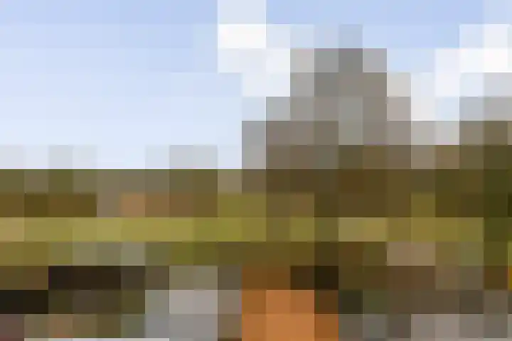 Boschplaat 74 Diemen thumbnail 25