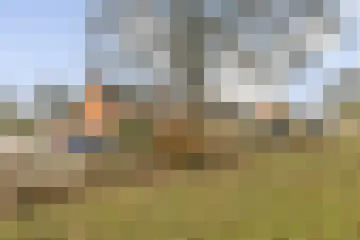 Boschplaat 74 Diemen thumbnail 26