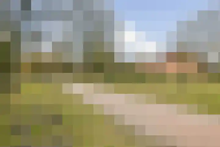 Boschplaat 74 Diemen thumbnail 27
