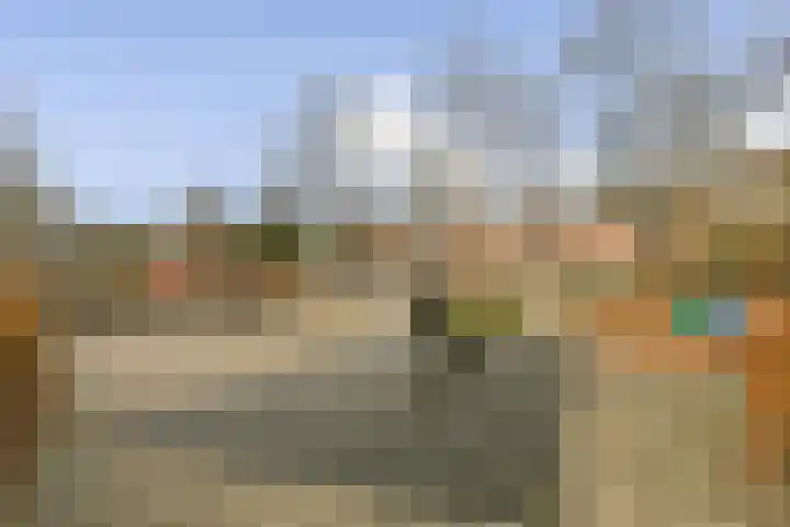 Boschplaat 74 Diemen thumbnail 28