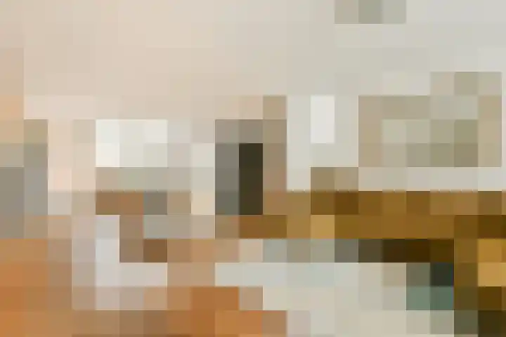 Boschplaat 74 Diemen thumbnail 4