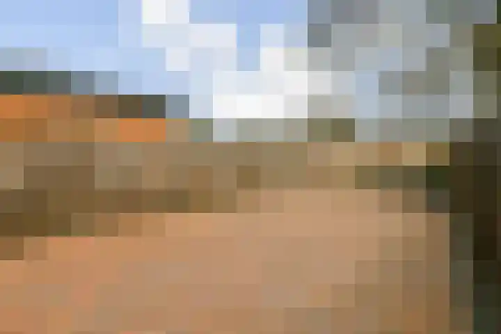 Boschplaat 74 Diemen thumbnail 9
