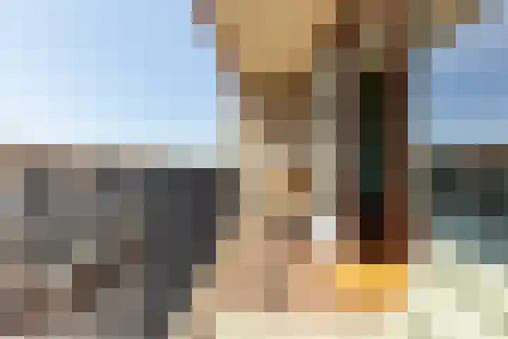 Boschplaat 92 Hoofddorp thumbnail 15