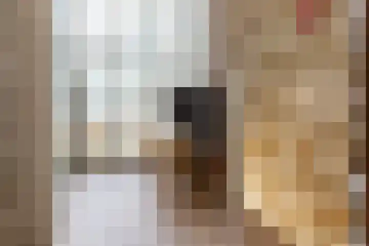 Boschplaat 92 Hoofddorp thumbnail 17
