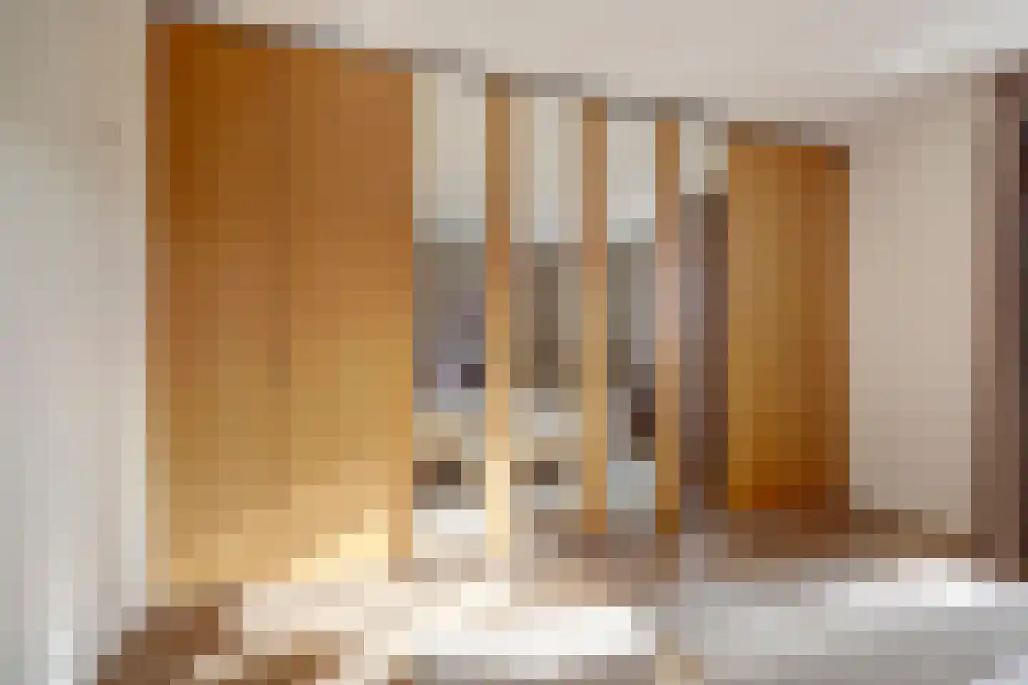 Boschpolderstraat 15 Gouda thumbnail 23