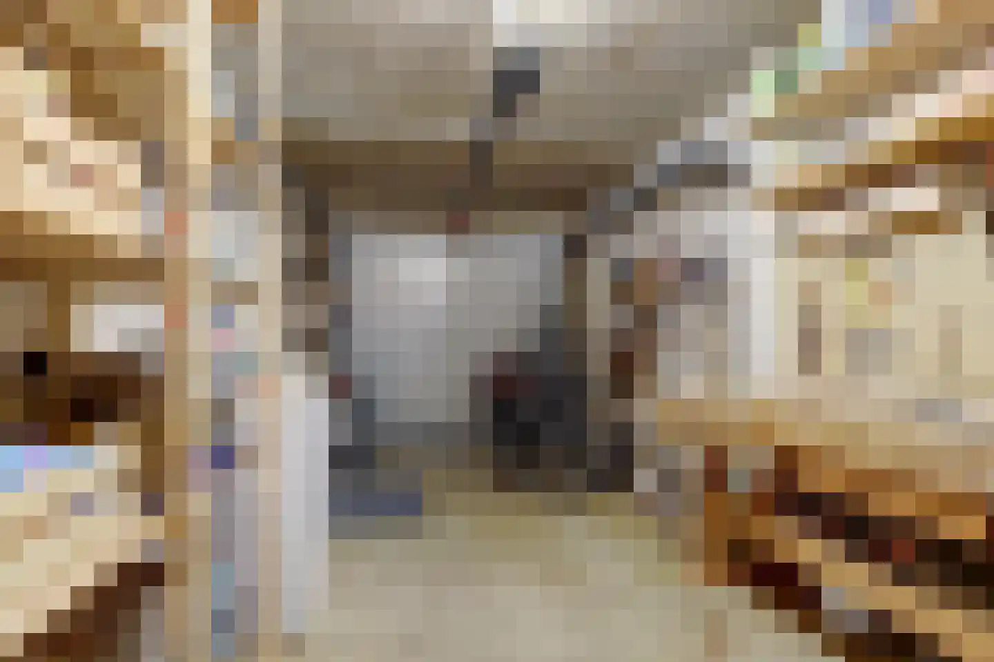 Boschpolderstraat 15 Gouda thumbnail 43