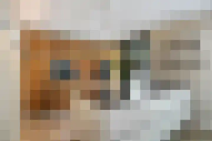 Boschrand 23 Goirle thumbnail 15