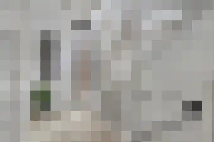 Boschrand 23 Goirle thumbnail 20