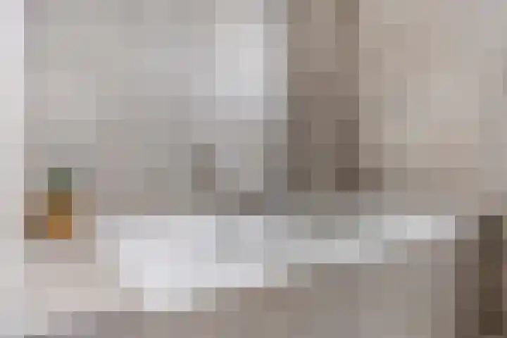 Boschrand 23 Goirle thumbnail 26