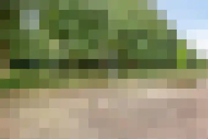 Boschrand 23 Goirle thumbnail 44