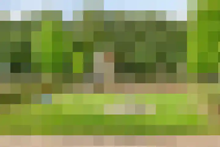 Boschrand 23 Goirle thumbnail 46