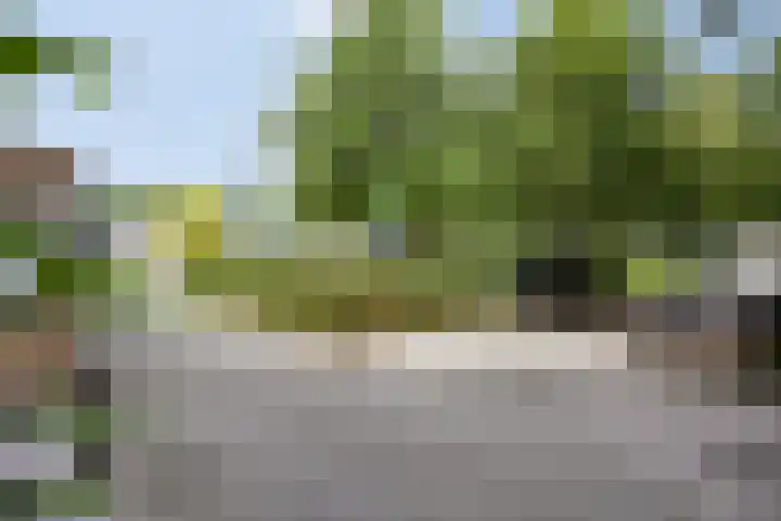 Boschrand 23 Goirle thumbnail 47