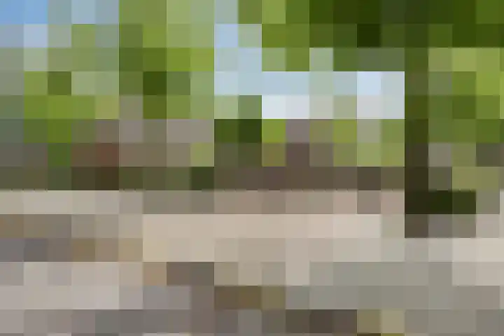 Boschrand 23 Goirle thumbnail 48