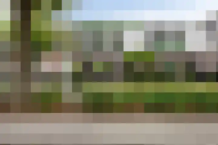 Boschrand 23 Goirle thumbnail 49