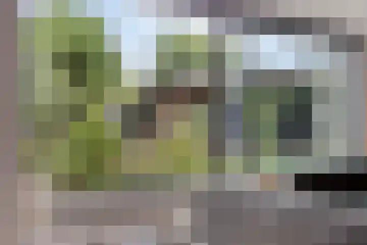 Boschrand 23 Goirle thumbnail 8