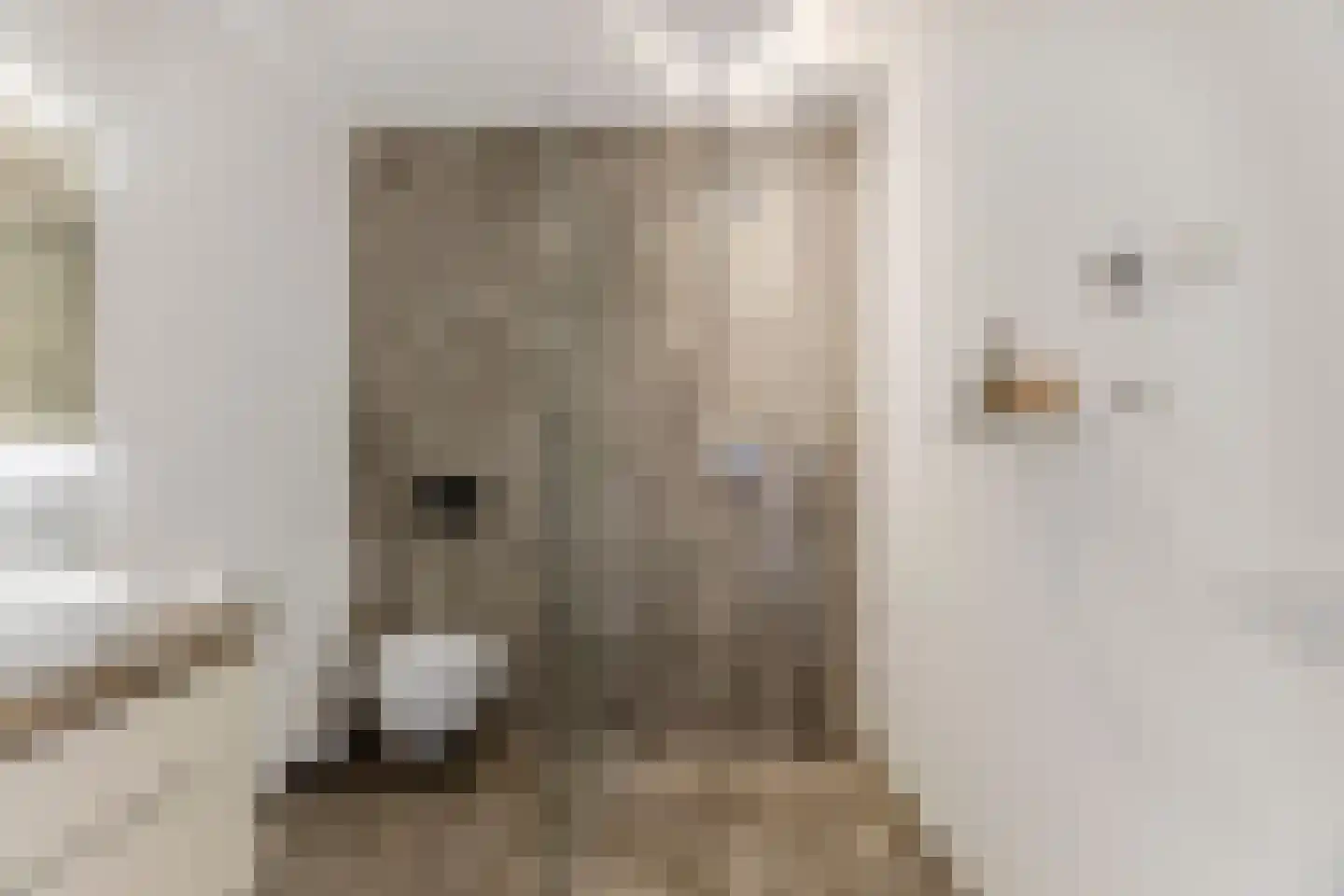 Boschrand 28 Goirle thumbnail 30