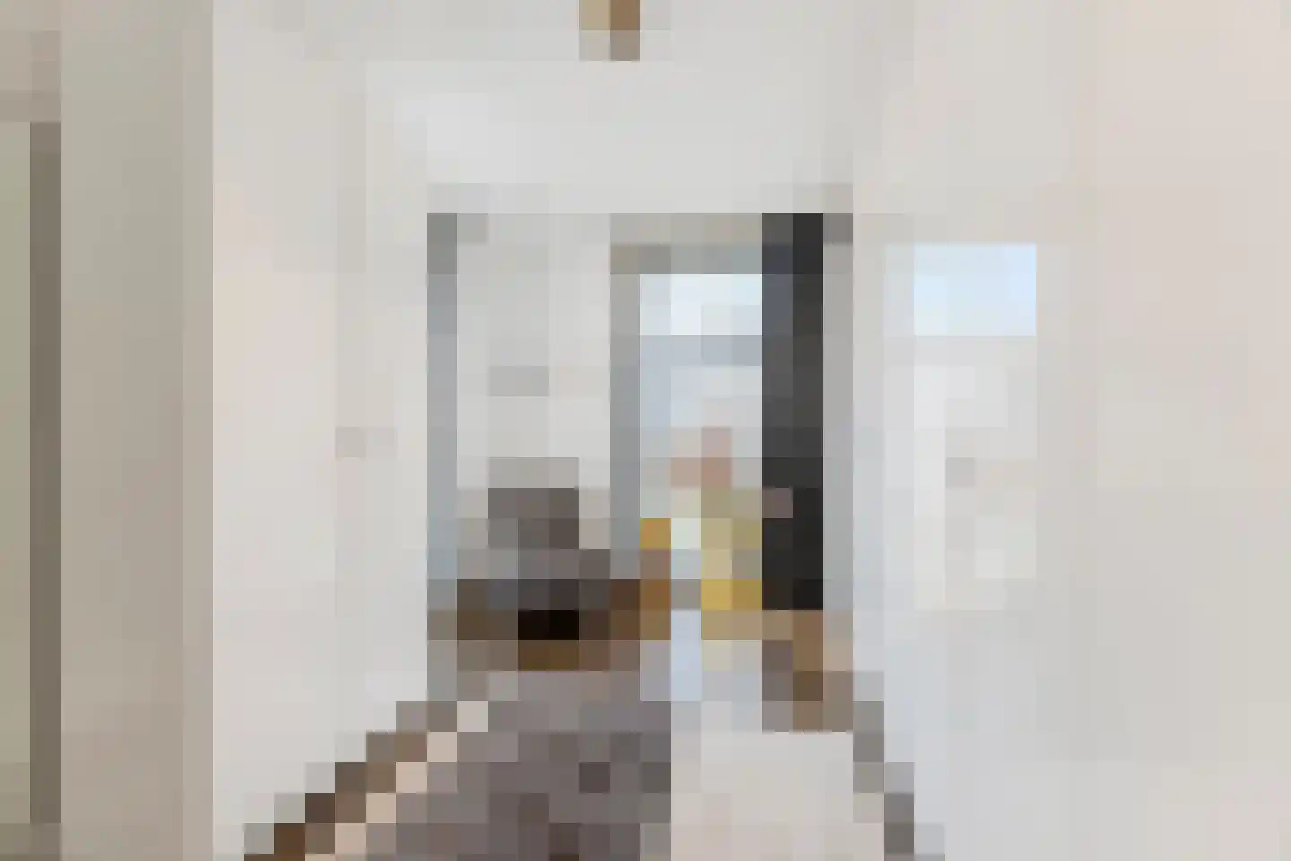 Boschrand 28 Goirle thumbnail 38